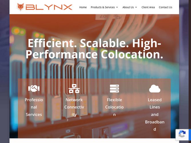 The website screenshot for https://BlynxAIM.com
